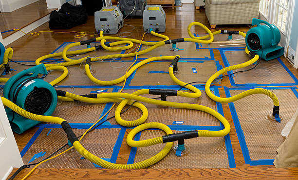 Professional Crawl Space Water Removal technician working in Forestville, MI
